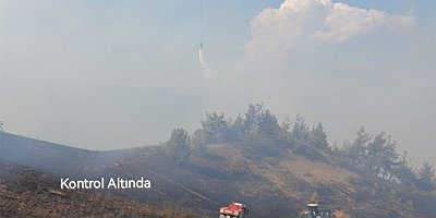 KAHRAMANMARAŞ'TA ORMAN YANGINI KONTROL ALTINA ALINDI